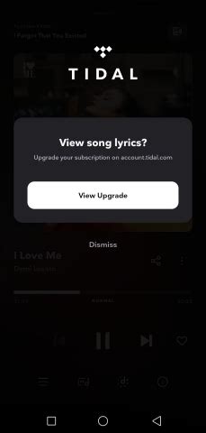 when i see you with lyrics|does tidal have lyrics.